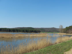 Szügyi tó
